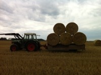 FENDT Farmer 250S / Quelle: Roland Leimenstoll